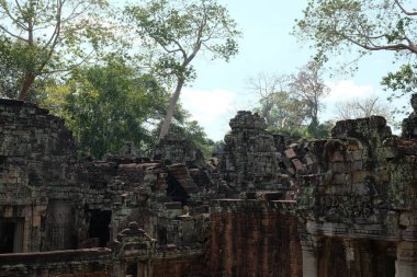 Kamboçya ormanında antik Preah Khan tapınak kompleksi kalıntıları.