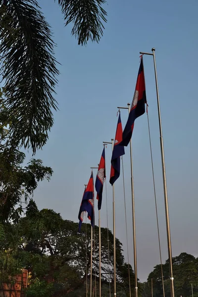 Várias Bandeiras Cambodia Agitam Vento Uma Fileira Mastins Com Bandeiras — Fotografia de Stock