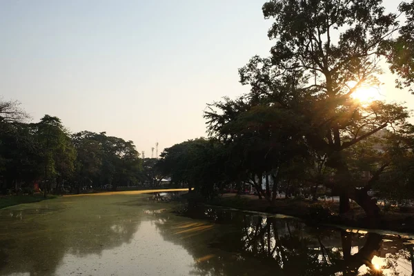 Pohon Pohon Dipantulkan Perairan Sungai Malam Pemandangan Matahari Terbenam — Stok Foto