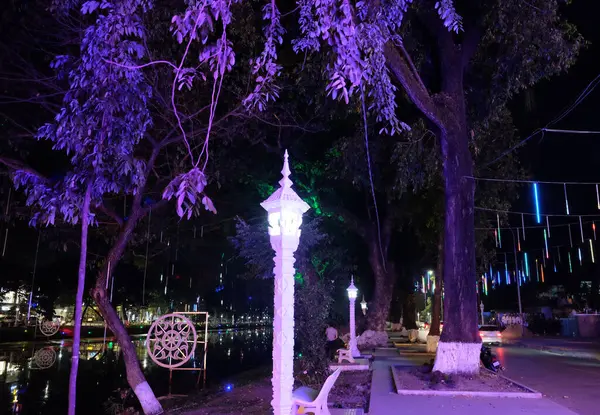 柬埔寨暹粒 2018年12月23日 道路两旁生长着树木 装饰霓虹灯 — 图库照片