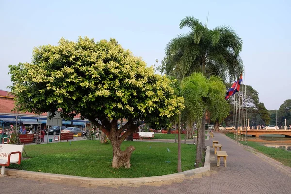 シェムリアップ カンボジア 12月22 2018ベンチと旗柱と遊歩道の一部 熱帯の木々 — ストック写真