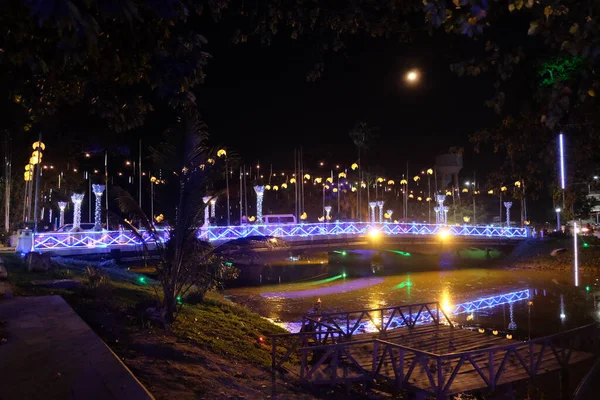 Luz Las Farolas Refleja Superficie Del Agua Por Noche Paisaje —  Fotos de Stock