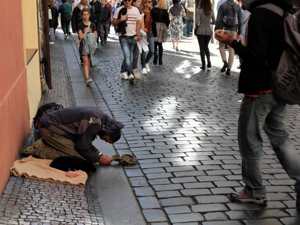 Praga República Checa Outubro 2019 Refugiado Ajoelhado Pede Esmola Uma — Fotografia de Stock