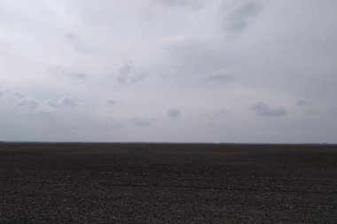 Mısır hasadından sonra kasvetli tarla. Bulutlu manzara.