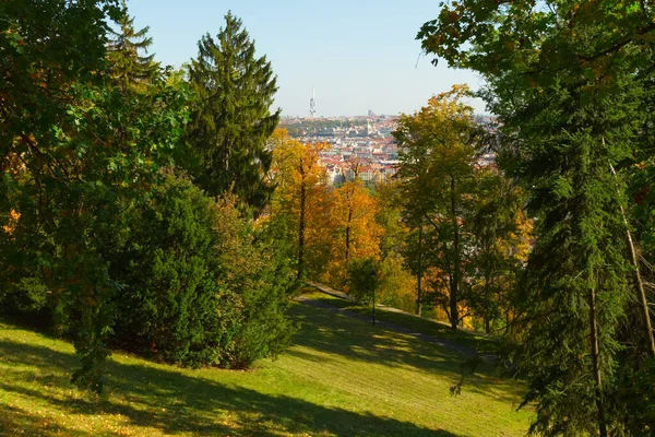 Прекрасный Осенний Парк Праге Парк Петринском Холме — стоковое фото
