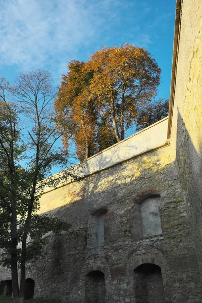 黄黄的秋天的树 越过一堵古老的石墙 — 图库照片