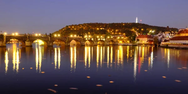 Vieux Pont Pierre Sur Vltava Prague — Photo