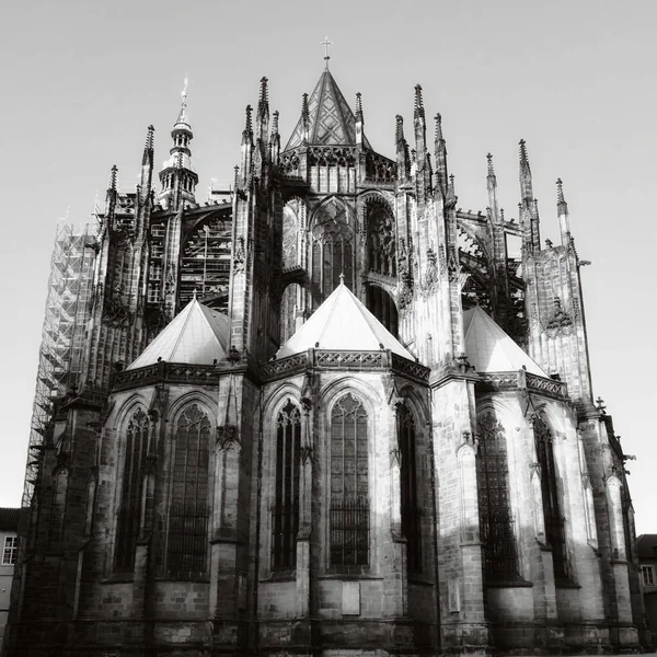 Cattedrale Medievale Gotica San Vito Praga Monocromatico — Foto Stock
