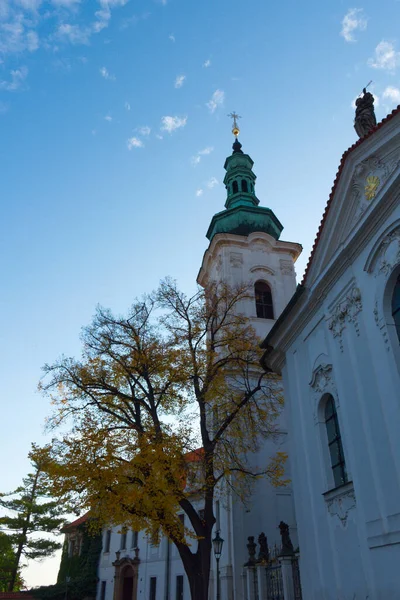 Árvore Amarela Outono Perto Mosteiro Strahov Praga — Fotografia de Stock