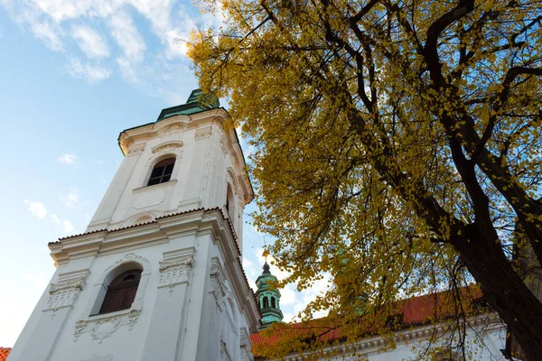 Albero Giallo Autunnale Vicino Monastero Strahov Praga — Foto Stock