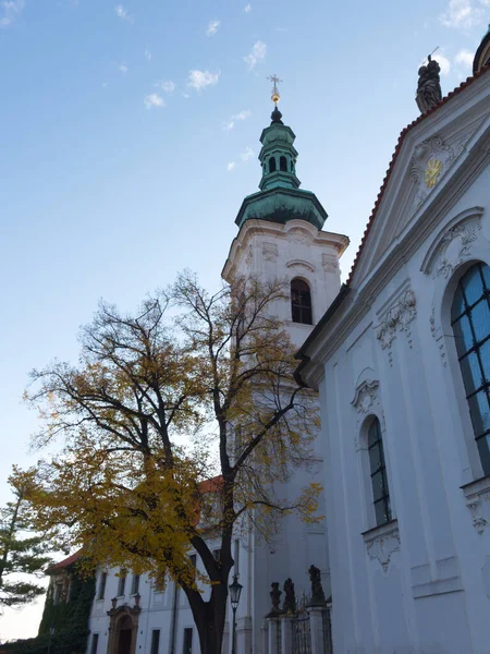 Gele Herfstboom Buurt Van Het Klooster Strahov Praag — Stockfoto