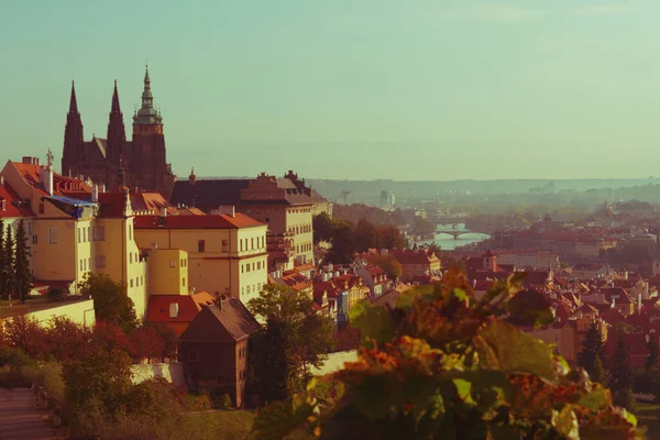 Näkymä Vanha Praha Petrin Hill Syksyllä — kuvapankkivalokuva