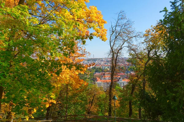 Utsikt Över Prag Genom Grenar Höst Träd — Stockfoto