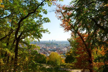 Sonbahar ağaçlarının dalları arasında Prag 'ın manzarası.