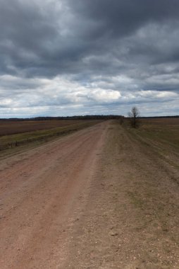 Akşamları tarlaların arasında toprak bir yol. Sonbahar manzarası.