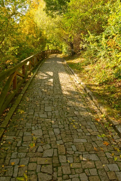 Kamenitá Stezka Podzimním Lese — Stock fotografie