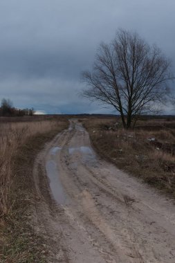 Toprak yoldaki su birikintileri. Ağacın yanındaki çöp tenekesi. Kasvetli manzara.