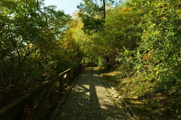 Kamenitá Stezka Podzimním Lese — Stock fotografie