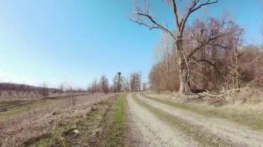 Güneşli bir günde ormanın yakınındaki toprak yolda hızlı bir hareket. Hiperlapse.