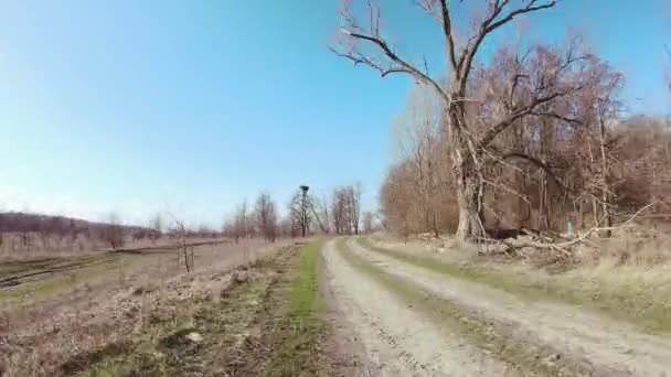 Mouvement rapide sur un chemin de terre près de la forêt par une journée ensoleillée. Hyperlapsus .