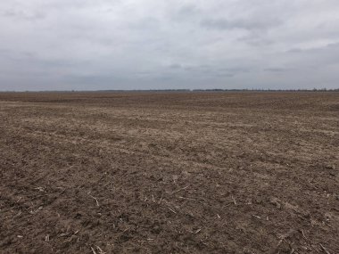 Bulutlu bir akşamda tarım arazisi. Bulutlu. Peyzaj.