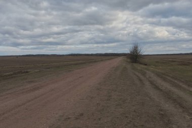 Akşamları tarlaların arasında toprak bir yol. Sonbahar manzarası.