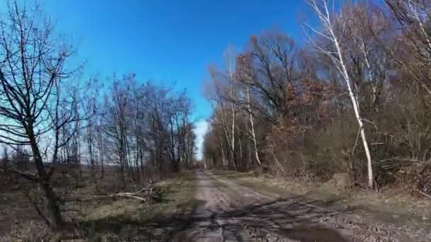 Mouvement rapide sur un chemin de terre près de la forêt par une journée ensoleillée. Hyperlapsus .