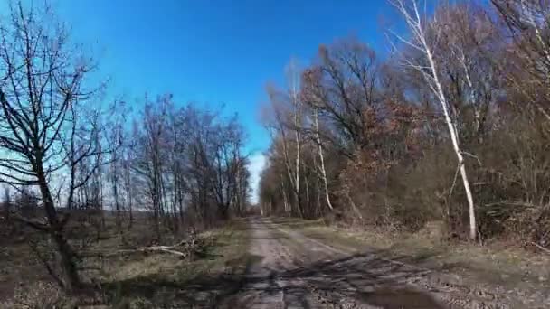 Movimento Rápido Uma Estrada Terra Perto Floresta Dia Ensolarado Hiperlapso — Vídeo de Stock