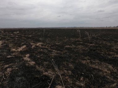 Yanmış tarla. Çevre felaketinin yaşandığı yer. Huysuz manzara.