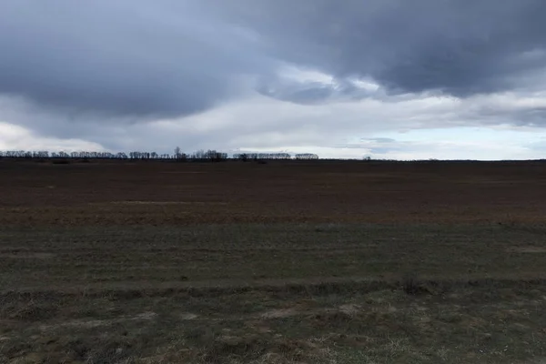 Düstere Steppenlandschaft Schöner Bewölkter Himmel Über Dem Feld — Stockfoto