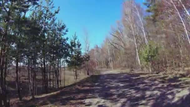 Movimento Rápido Uma Estrada Terra Perto Floresta Dia Ensolarado Hiperlapso — Vídeo de Stock