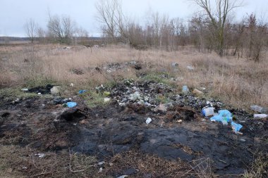 Chernihiv bölgesi, Ukrayna, 23 Şubat 2020. Korulukta bir çöp yığını. Doğanın kirliliği.