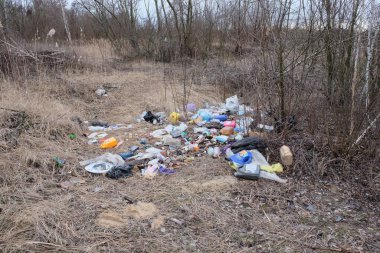 Chernihiv bölgesi, Ukrayna, 23 Şubat 2020. Korulukta bir çöp yığını. Doğanın kirliliği.
