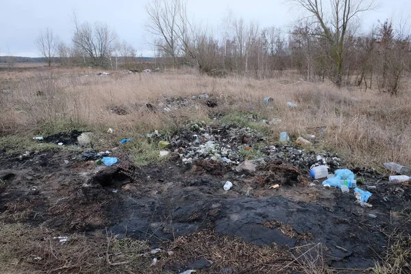Черниговская Область Украина Февраля 2020 Куча Мусора Роще Загрязнение Природы — стоковое фото