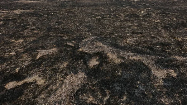 Arka plan olarak yanmış bozkır. Doğal bir felaketten sonra toprak..