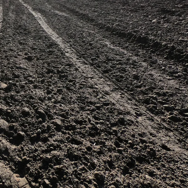 土壤上的交通痕迹 — 图库照片