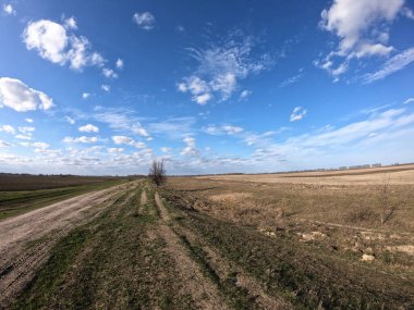 Güneşli bir günde tarlaların arasındaki kirli yol. Peyzaj.