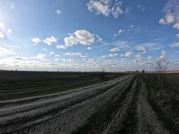 Ein Feldweg Inmitten Brachliegender Landwirtschaftlicher Flächen — Stockfoto