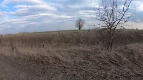 Movimento Rápido Longo Uma Estrada Terra Longo Velho Canal Irrigação — Vídeo de Stock