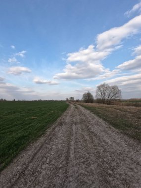 Pınar tarlasında toprak yol. Peyzaj.