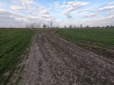 Pınar tarlasında toprak yol. Peyzaj.