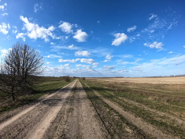 Vuile Weg Tussen Velden Een Zonnige Dag Landschap — Stockfoto