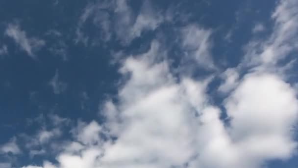 Σύννεφο Ουρανό Φουντωτά Άσπρα Σύννεφα Στον Γαλάζιο Ουρανό Από Ιανουαρίου — Αρχείο Βίντεο