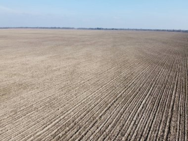 Güneşli bir bahar gününde tarım arazileri, hava manzarası. Manzara. Mavi gökyüzü tarlaların üzerinde.