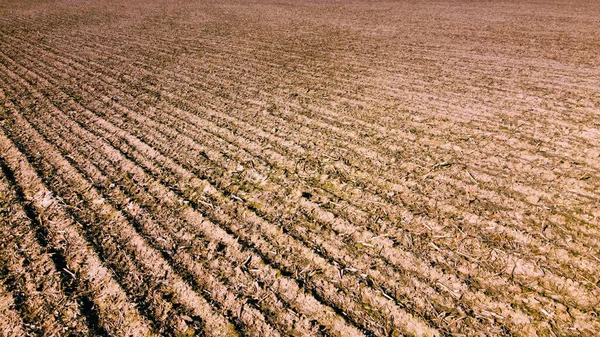 Arable Field Aerial View Landscape Agricultural Field Background — Stock Photo, Image