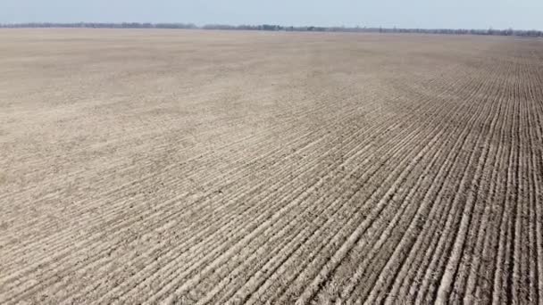 Hermoso Cielo Azul Sobre Campos Agrícolas Día Soleado Vista Aérea — Vídeo de stock