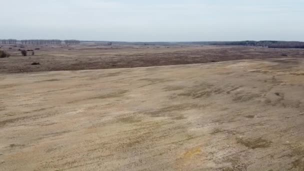 Grunty Rolne Widok Powietrza Krajobraz Pola Uprawne Wiosną — Wideo stockowe