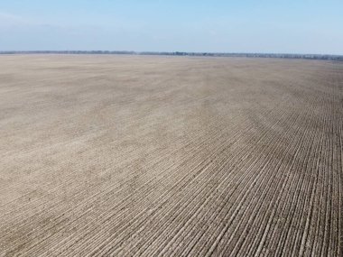 Güneşli bir bahar gününde tarım arazileri, hava manzarası. Manzara. Mavi gökyüzü tarlaların üzerinde.