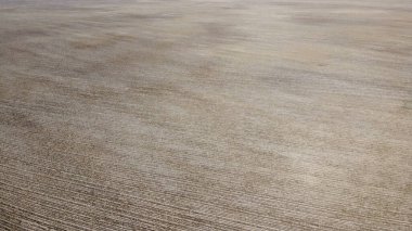 Tarıma elverişli alan, hava manzarası. Manzara. Arkaplan olarak tarımsal alan.