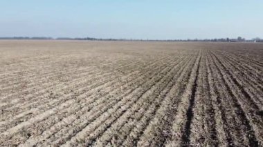 Güneşli bir günde, tarlaların üzerinde güzel mavi gökyüzü, hava manzarası. Peyzaj.